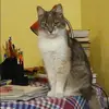 Отзыв от Анжела Дубровина